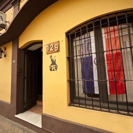 Black Cat Hostel Asuncion Extérieur photo