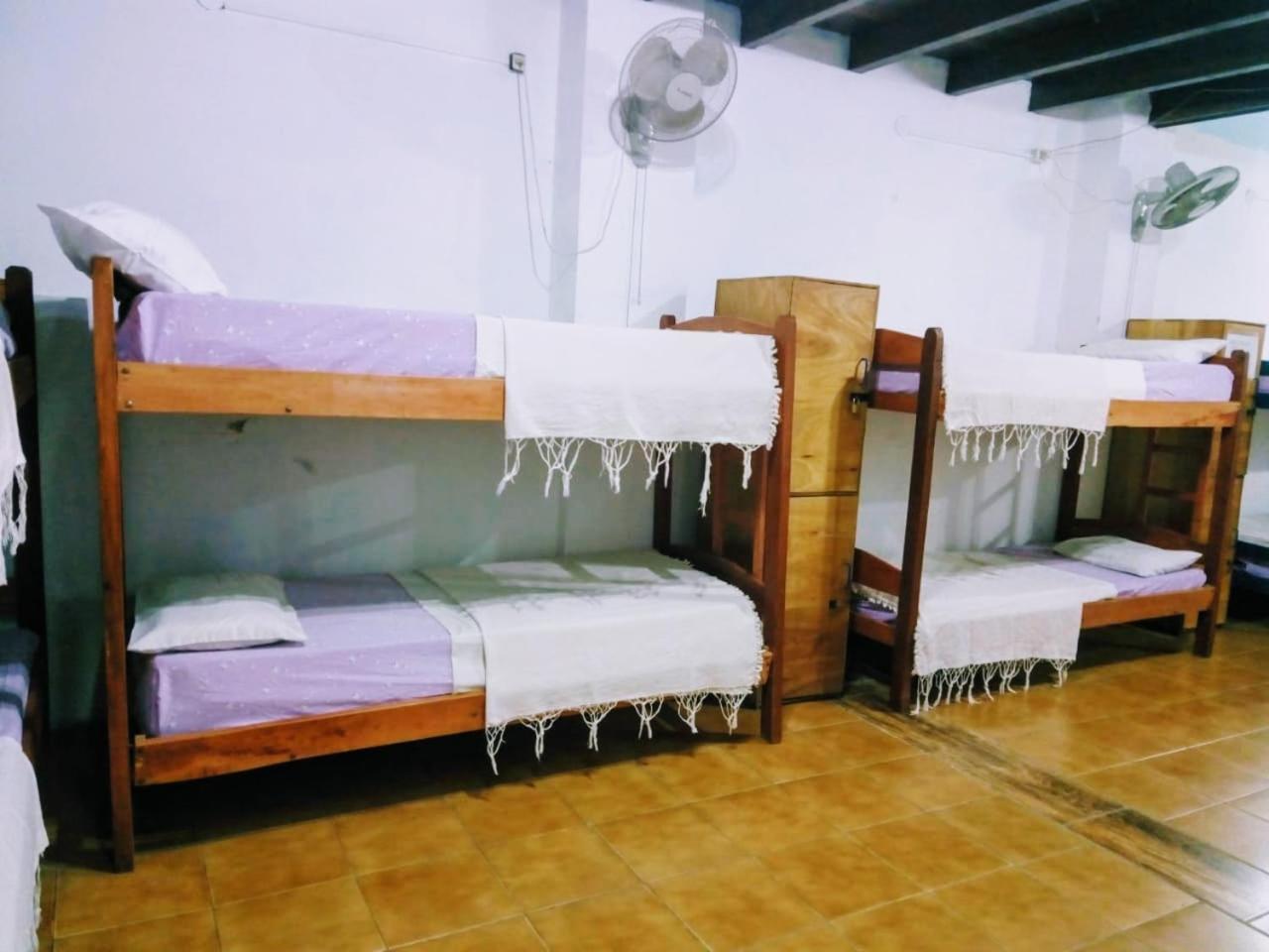 Black Cat Hostel Asuncion Extérieur photo