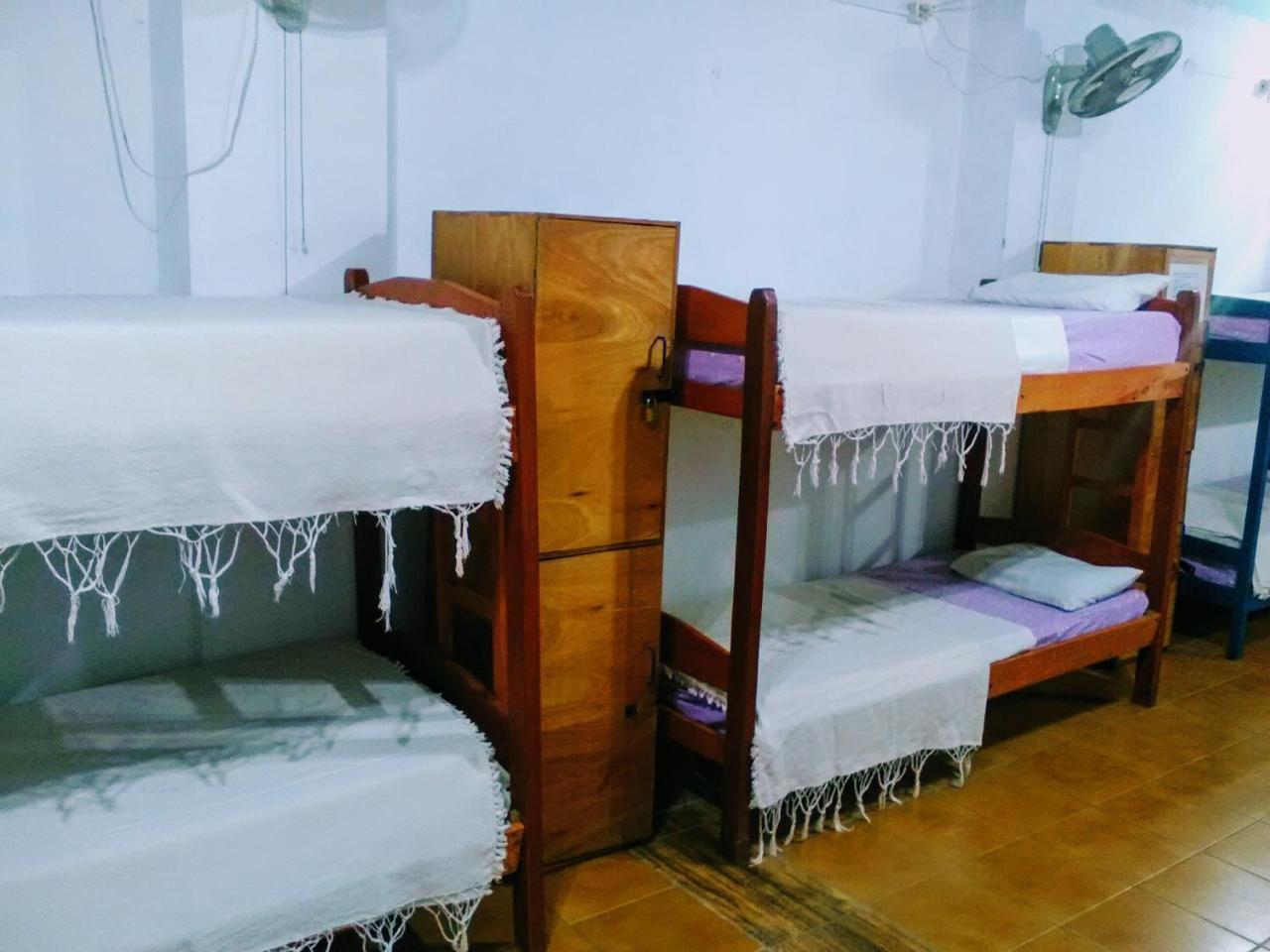 Black Cat Hostel Asuncion Extérieur photo