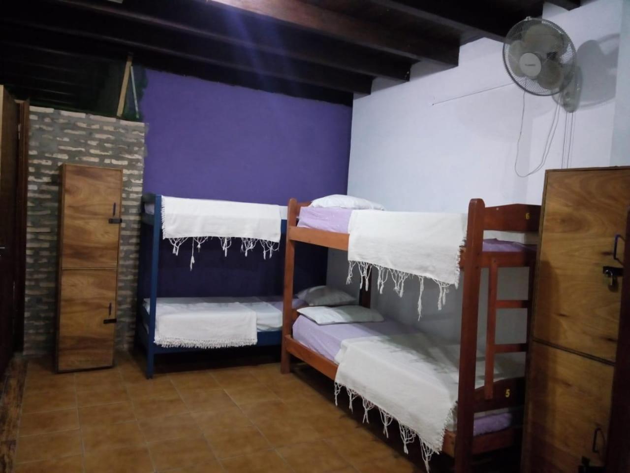 Black Cat Hostel Asuncion Extérieur photo